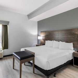 King Suite Sofa Bed Walk Shower Disability Access or Non-Smoking